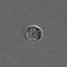 Thumbnail for dataset PBMC-timelapse-plate7_48