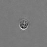 Thumbnail for dataset PBMC-timelapse-plate7_95