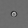 Thumbnail for dataset PBMC-timelapse-plate8_17
