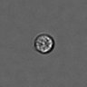 Thumbnail for dataset PBMC-timelapse-plate8_25