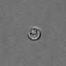 Thumbnail for dataset PBMC-timelapse-plate8_33