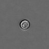 Thumbnail for PBMC-timelapse-plate8_37