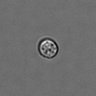Thumbnail for dataset PBMC-timelapse-plate8_38