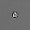 Thumbnail for dataset PBMC-timelapse-plate8_45
