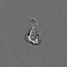 Thumbnail for dataset PBMC-timelapse-plate8_47