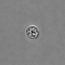 Thumbnail for dataset PBMC-timelapse-plate8_50