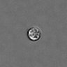 Thumbnail for dataset PBMC-timelapse-plate8_81