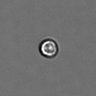 Thumbnail for dataset PBMC-timelapse-plate8_90