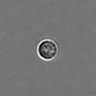 Thumbnail for dataset PBMC-timelapse-plate8_95