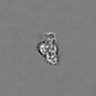 Thumbnail for dataset PBMC-timelapse-plate8_96