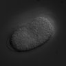 Thumbnail for dataset RNAi_T26G10.1_070920_01