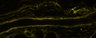 Thumbnail for dataset Fig4C_Duration_Hexamethonium_200302_5b