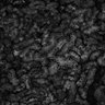 Thumbnail for dataset SuppFigS1C_kidney