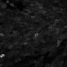 Thumbnail for dataset SuppFigS1C_liver