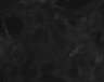 Thumbnail for dataset Figure1C_BrafV600E_vitro_WT_GCaMP6s_N3