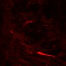 Thumbnail for dataset Figure1E_GnaqKO_Gnaq_N3