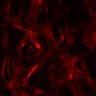 Thumbnail for dataset Figure4A_Tbxas1KO_N5