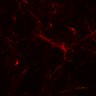 Thumbnail for dataset SuppFig4A_COXi_prepost_N2