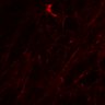 Thumbnail for dataset SuppFig4A_COXi_prepost_N3