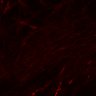 Thumbnail for dataset SuppFig6CD_NK_a-asialoGM1_N2