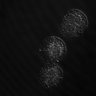 Thumbnail for dataset Figure3B_MitoTrackerRed_Anaphase