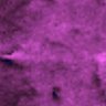 Thumbnail for dataset Fig1C_organoid_A