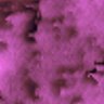 Thumbnail for dataset Fig1C_organoid_AKP