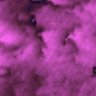 Thumbnail for dataset VideoS1_LiveCell_AKP