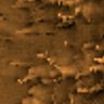 Thumbnail for dataset VideoS1_LiveCell_AKT