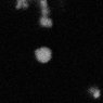 Thumbnail for dataset Fig4B_DNAPTP6+non-rG4