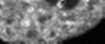 Thumbnail for dataset Fig4C_COS7_Hismet-HP1aCD