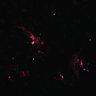 Thumbnail for dataset FigureS3_Casp3_RFP_150731