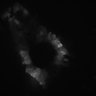 Thumbnail for dataset 4_04_MovieS7_WholeCellFRAP_Final