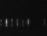 Thumbnail for dataset Fig3_50nM_MMC_TL_13
