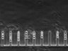 Thumbnail for dataset Fig3_200nM_MMC_TL_4