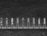 Thumbnail for dataset Fig3_200nM_MMC_TL_5