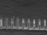 Thumbnail for dataset Fig3_200nM_MMC_TL_15