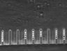 Thumbnail for dataset Fig3_200nM_MMC_TL_17