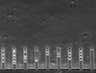 Thumbnail for dataset Fig3_200nM_MMC_TL_18