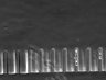 Thumbnail for dataset Fig3_200nM_MMC_TL_21