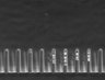Thumbnail for dataset Fig3_200nM_MMC_TL_22