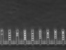 Thumbnail for dataset Fig3_200nM_MMC_TL_31