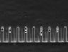 Thumbnail for dataset Fig3_200nM_MMC_TL_38