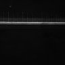 Thumbnail for dataset Fig1C_Video1_ph50TxRed500_Bin2_YK0083_no_Cp_1_Pos0