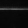 Thumbnail for dataset Fig1C_Video1_ph50TxRed500_Bin2_YK0083_no_Cp_1_Pos8