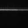 Thumbnail for dataset Fig1C_Video1_ph50TxRed500_Bin2_YK0083_no_Cp_1_Pos12