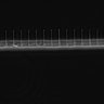 Thumbnail for dataset Fig2_sup1_ph20TxRed500_Bin2_FpLrT10_15Cp_2_Pos7