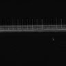 Thumbnail for dataset Fig2_sup1_ph20TxRed500_Bin2_FpLrT10_15Cp_2_Pos8