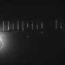 Thumbnail for dataset Fig2_sup1_ph20TxRed500_Bin2_FpLrT10_15Cp_2_Pos15