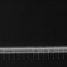 Thumbnail for dataset Fig2_sup1_ph20TxRed500_Bin2_FpLrT10_15Cp_2_Pos19